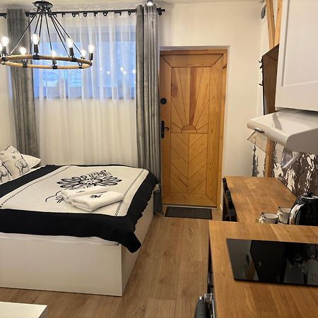 Apartament Small Czarny Potok Krynica Zdroj Dış mekan fotoğraf